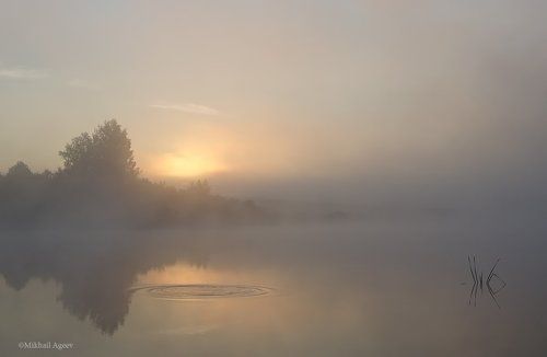 Нарушенное спокойствие