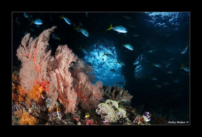 Рыбкин дом фото превью