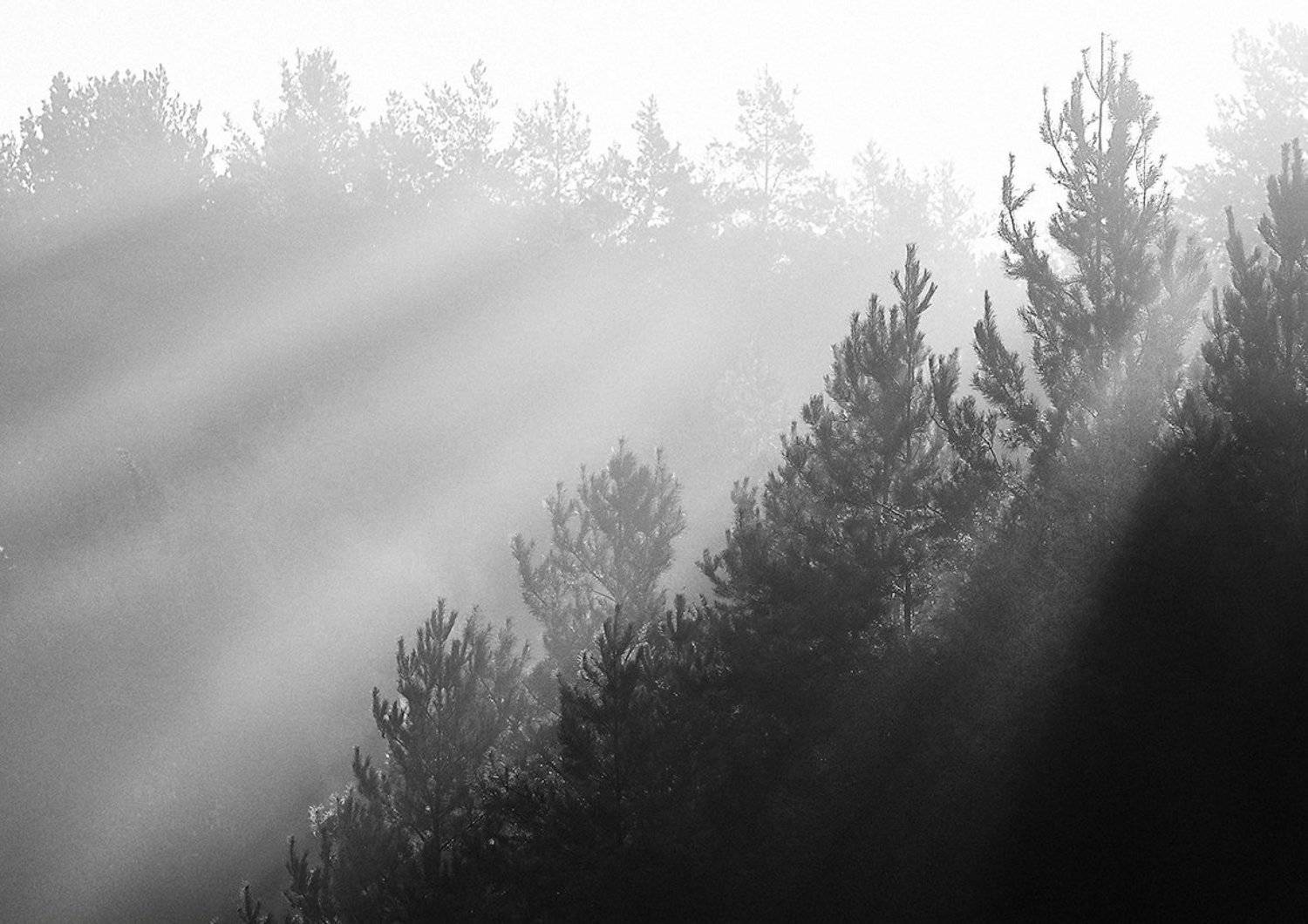 , Роман Рыжков