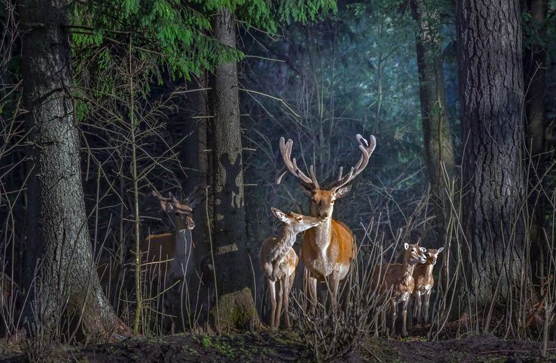 Про завистника фото превью