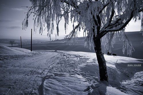 My own winter collection...