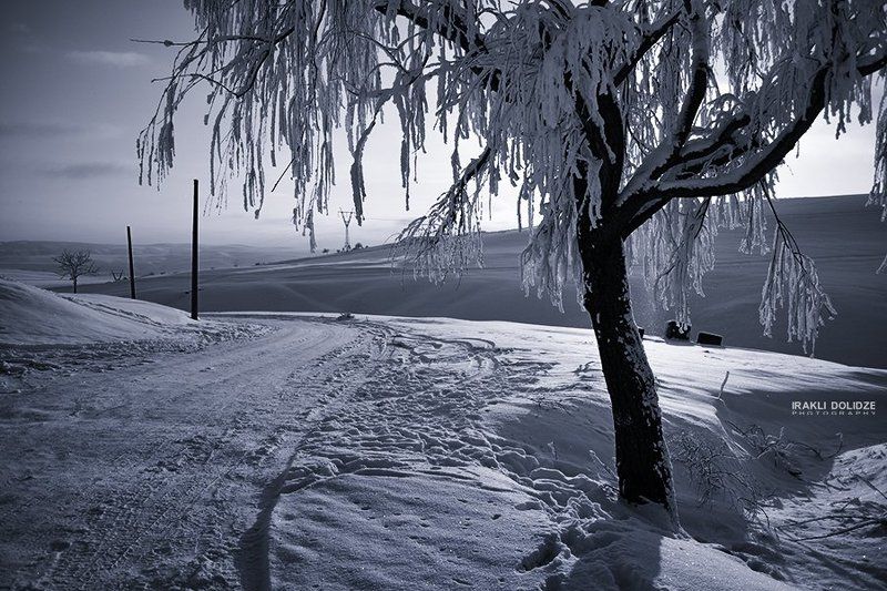 Landscape, Road, Snow, Sunset, Tree, Winter My own winter collection... фото превью