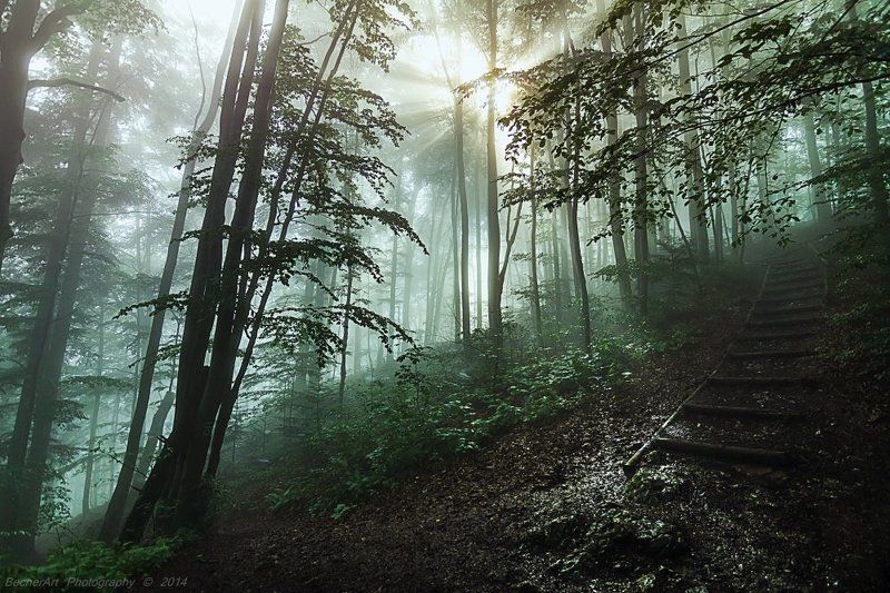 Moving On I фото превью