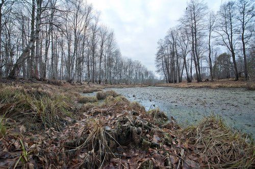 Один день в Мещёре