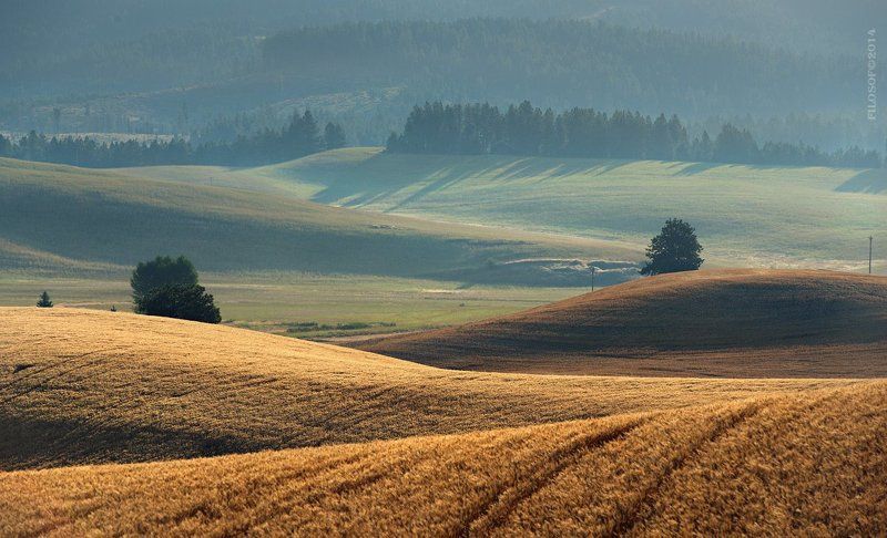 palouse hills фото превью