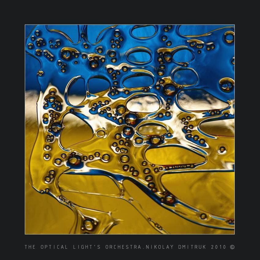 , николай дмитрук