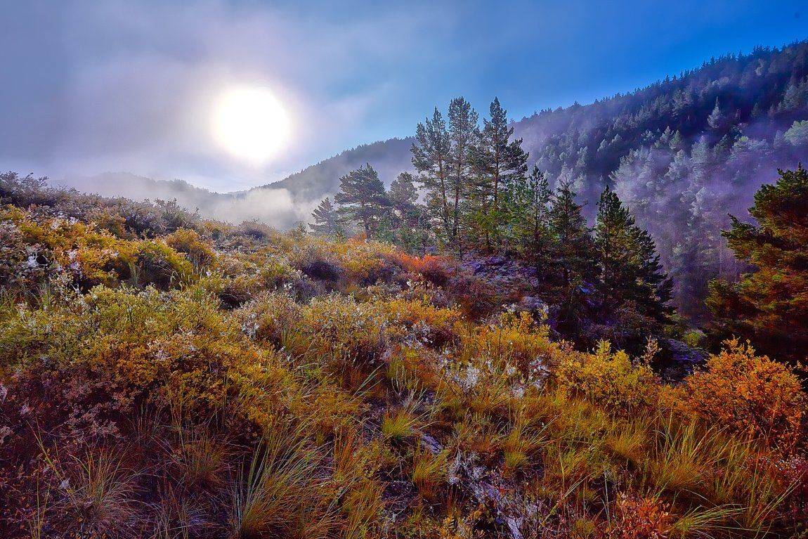 , Качурин Алексей