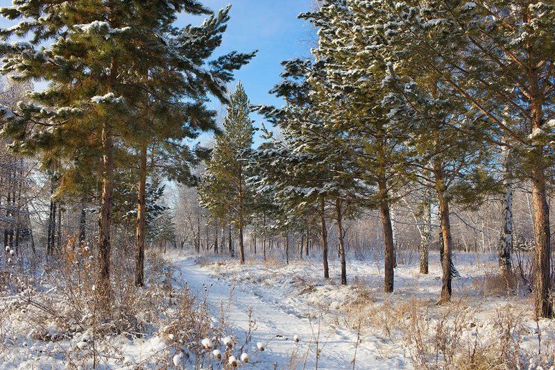 *** фото превью