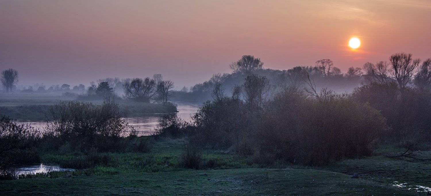 , Pawel Plucinski