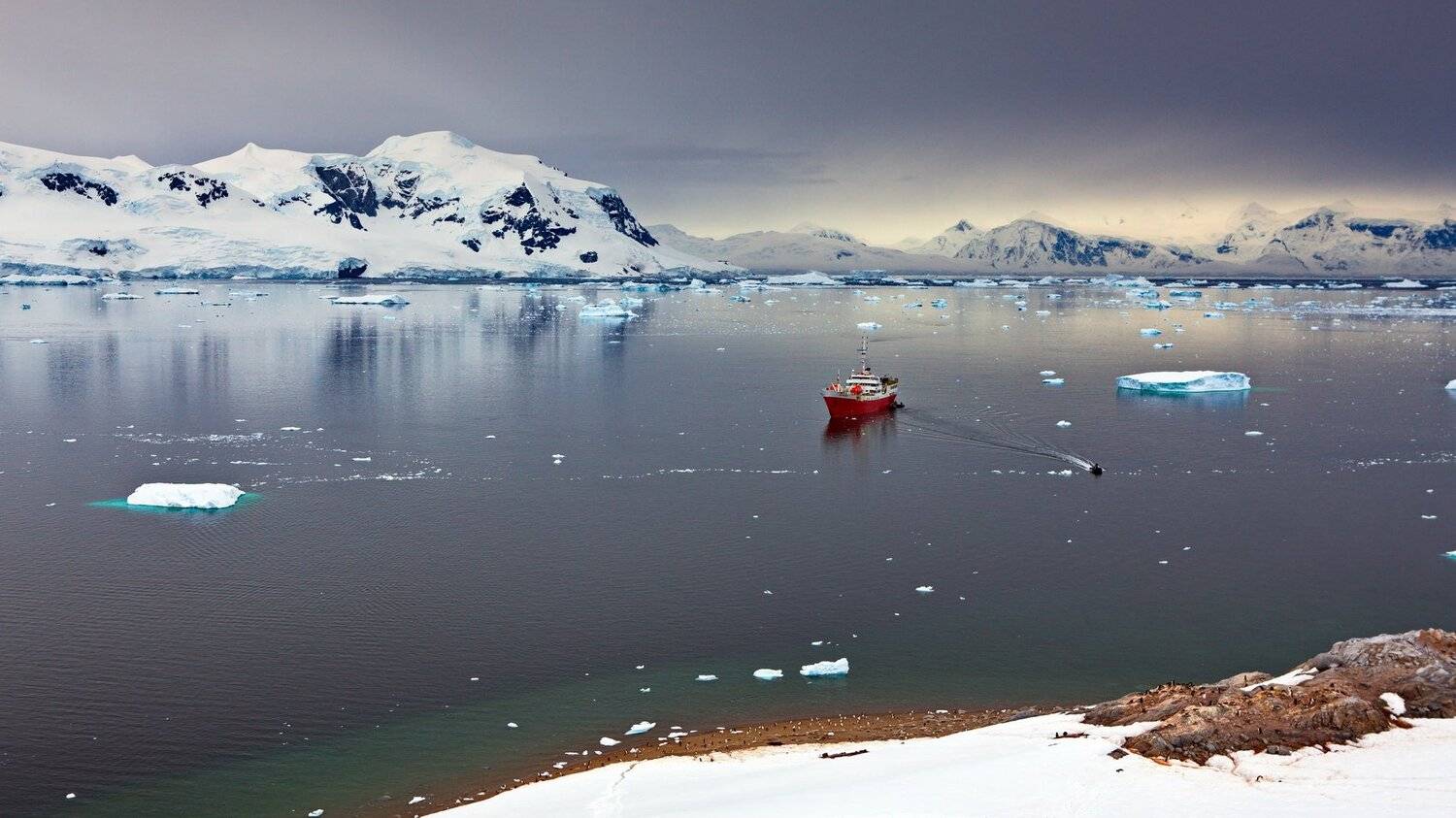, Александр Перов