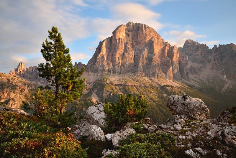 Tofana di Rozes фото превью