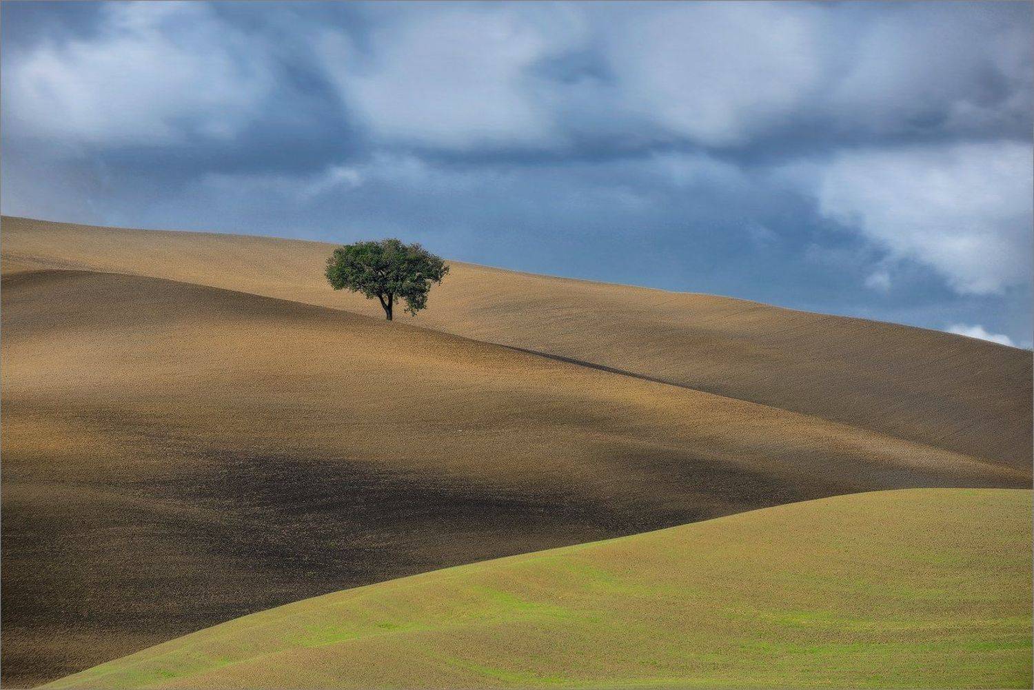 , Алексеевич