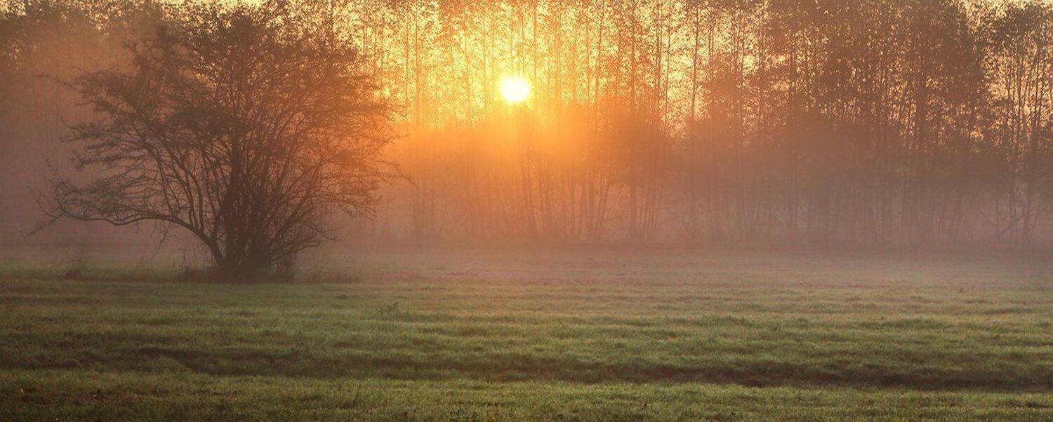 , Игорь Дубровский