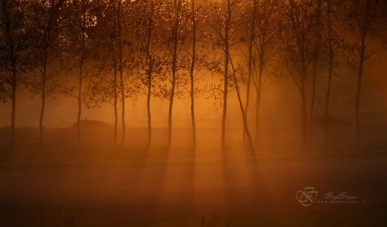 , Инга Иванова