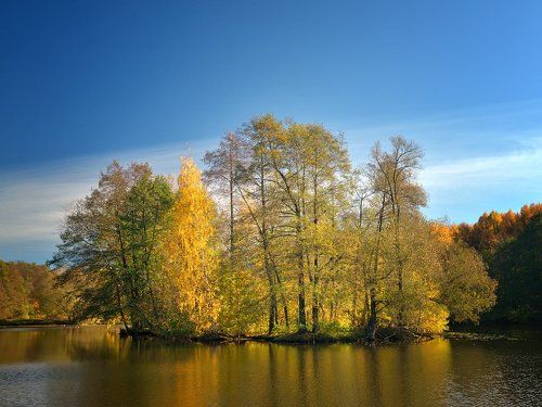 Осенние краски