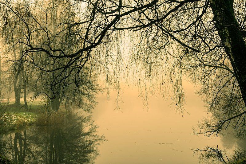 Воскресенне утро фото превью