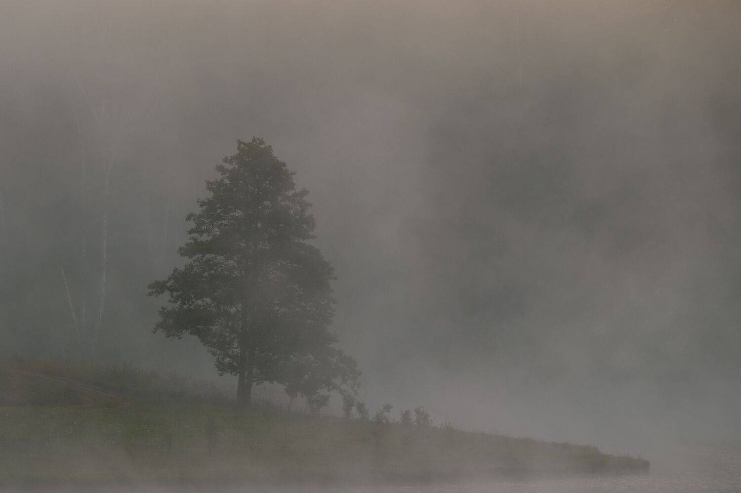 , Виталий Стрельцов