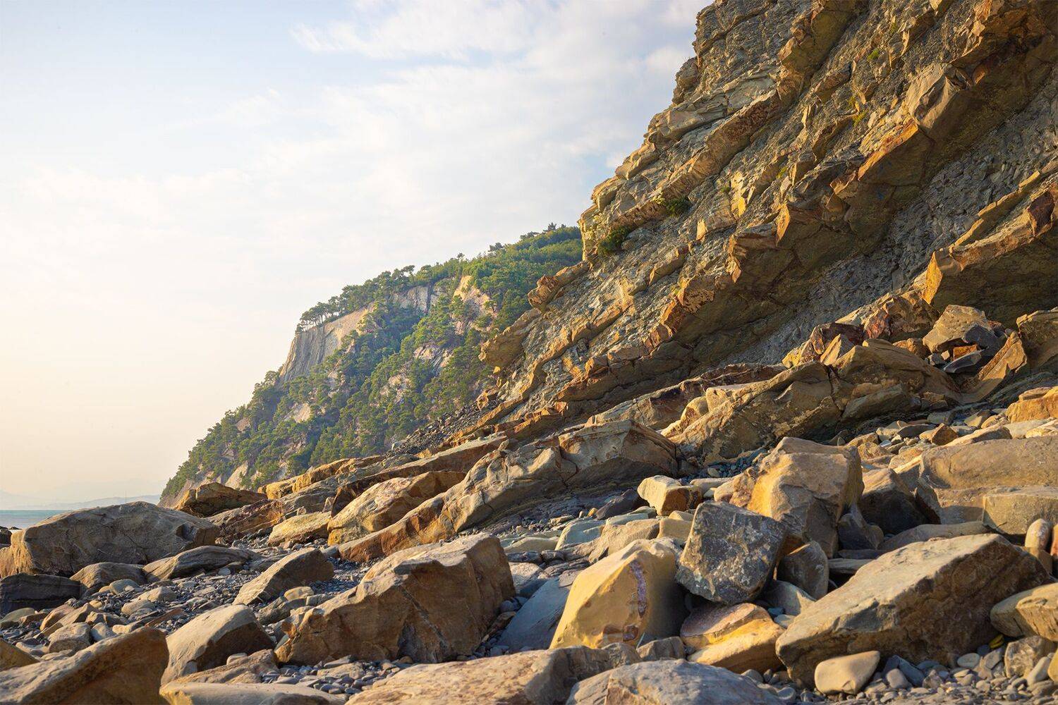 , Чудинин Дмитрий