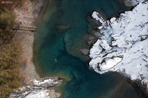 Про моржа ..