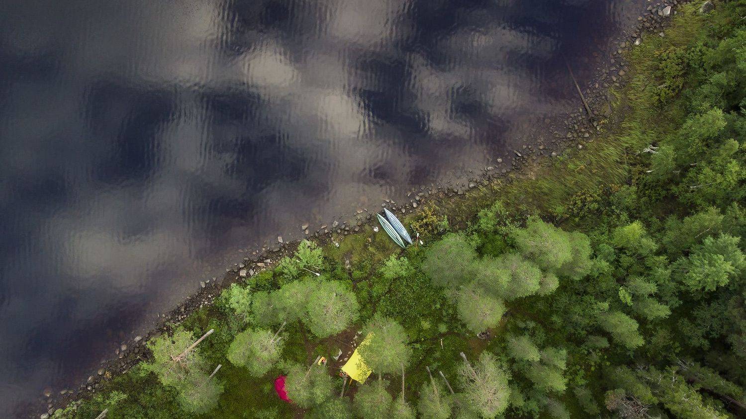 , Борис Пирог