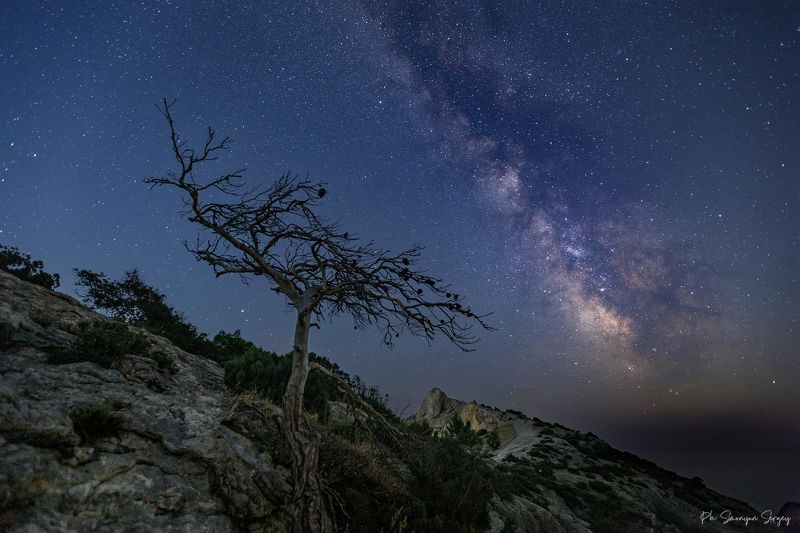 Старожил мыса Капчик фото превью