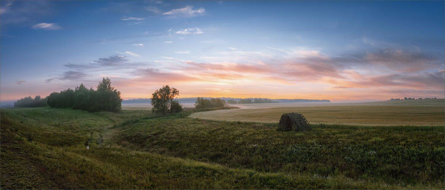 пейзаж, лето, рассвет, поле, лес, небо, свет, цвет, александр никитинский., Никитинский Александр