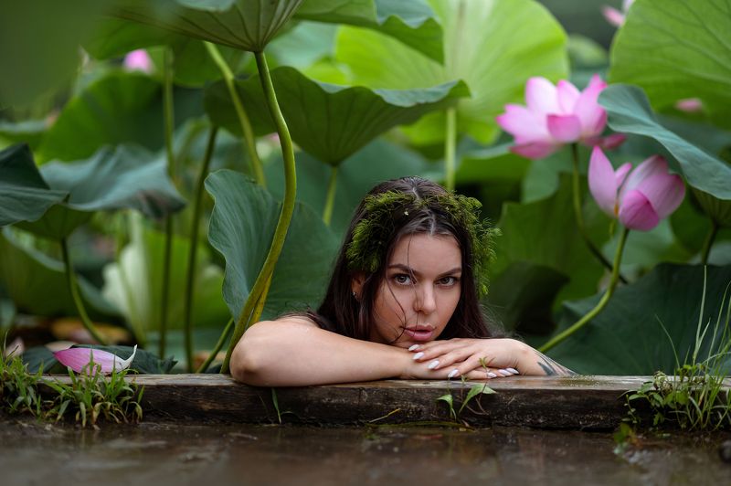 Лотосы Кикимора Мавка Русалка Сирена Озеро Дарья в лотосах фото превью