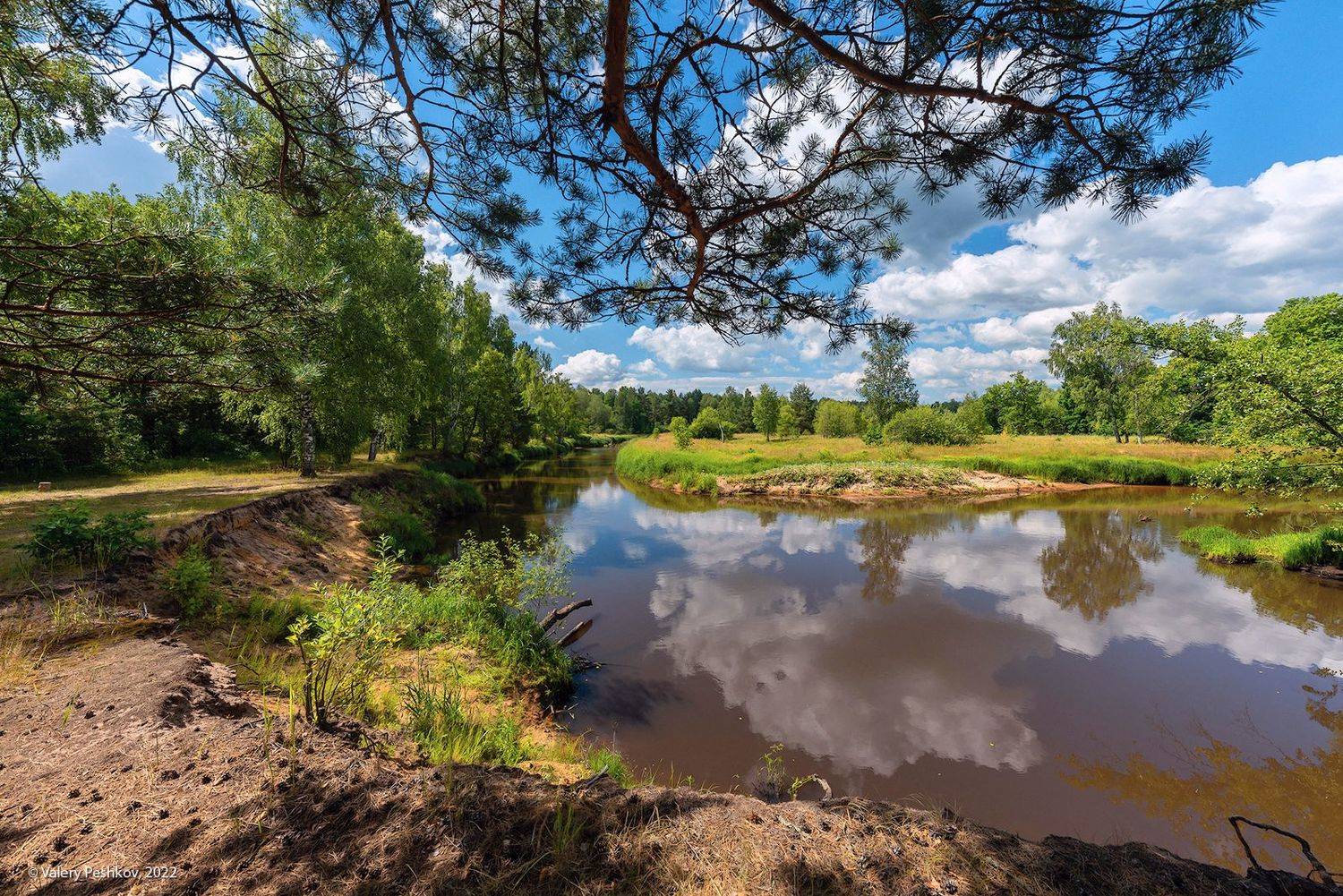 лето, лесная река, омут, сосна, луг, мещёра, рязанская область, Валерий Пешков