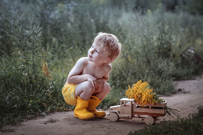 лето, солидаго, золотарник, дети Грузовик с цветами фото превью