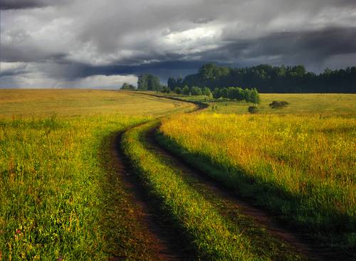 Перед грозой