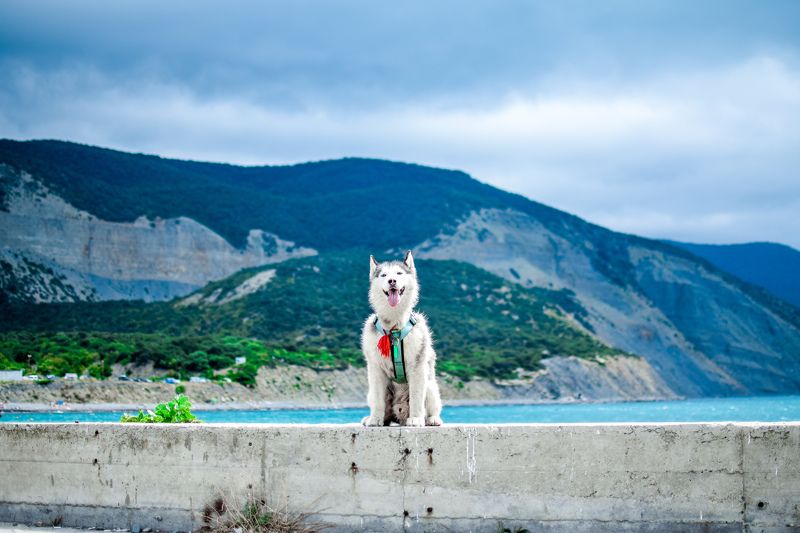 фото превью