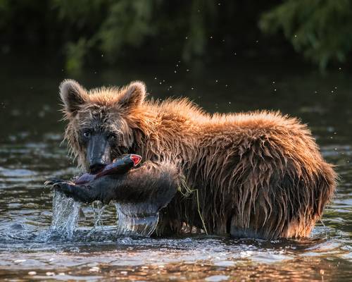 Камчатские рыбаки