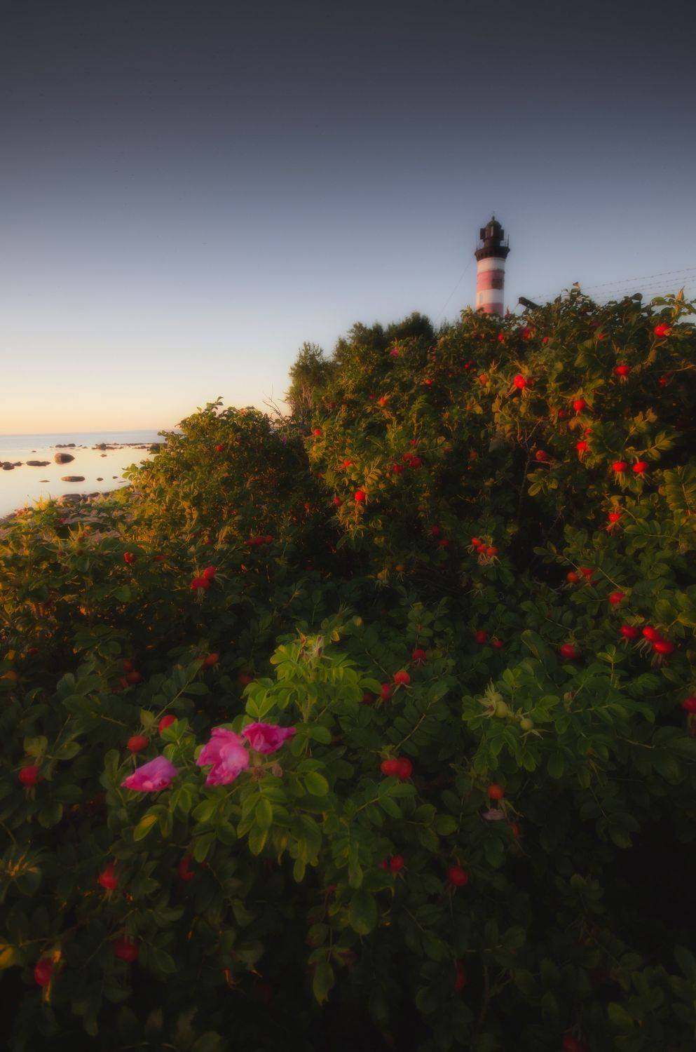 , Абрамов Денис