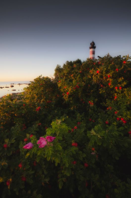 Шепелевский маяк фото превью