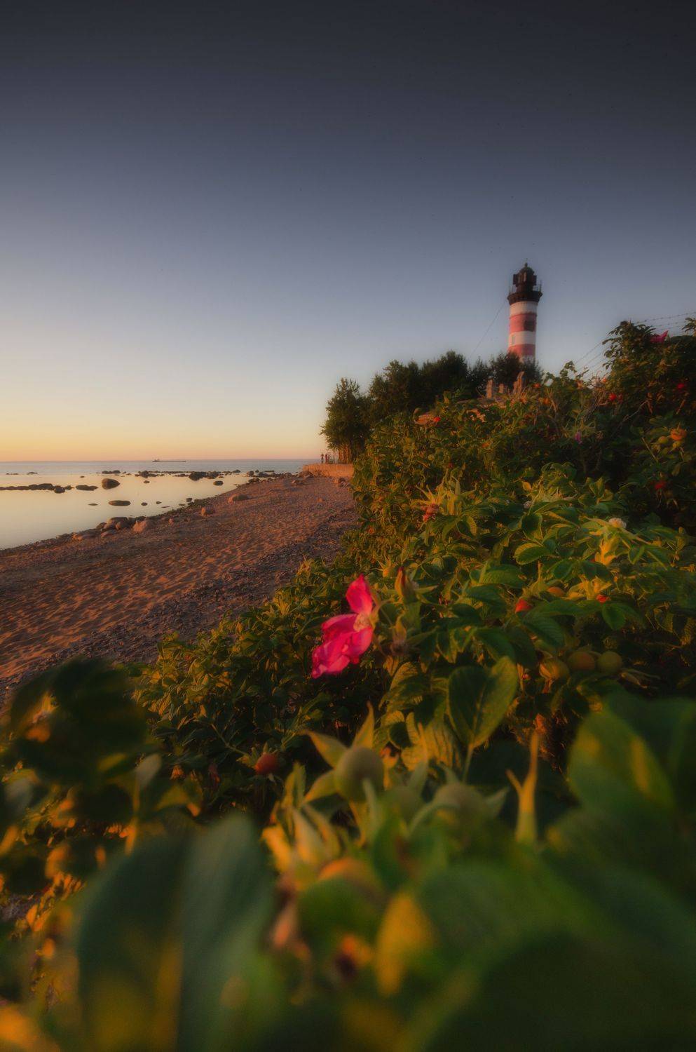 , Абрамов Денис