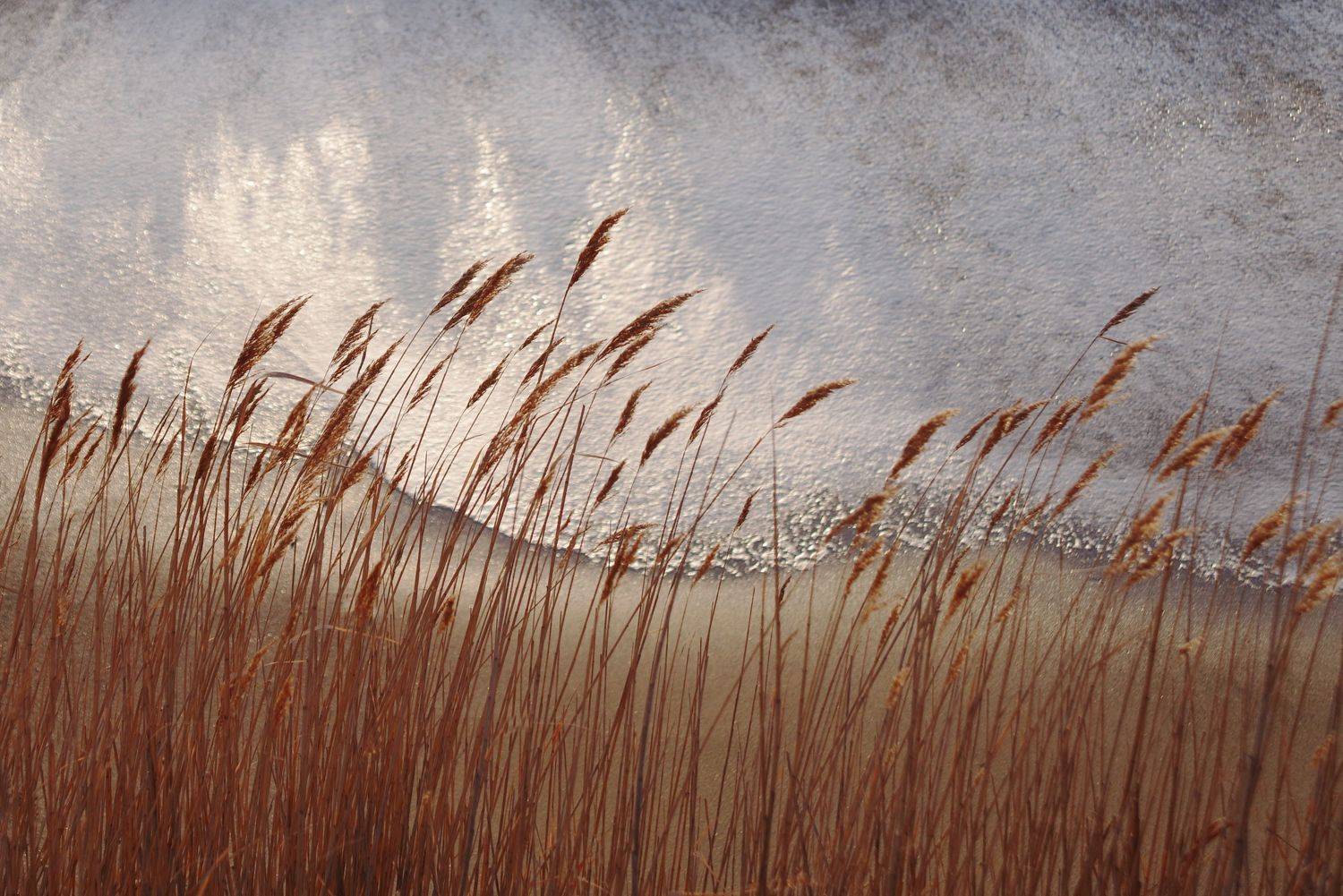 , Ольга Беккер