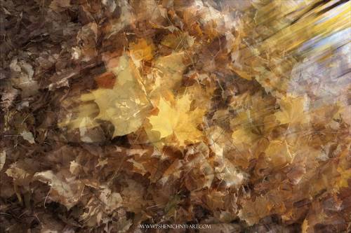 Осенний ветер