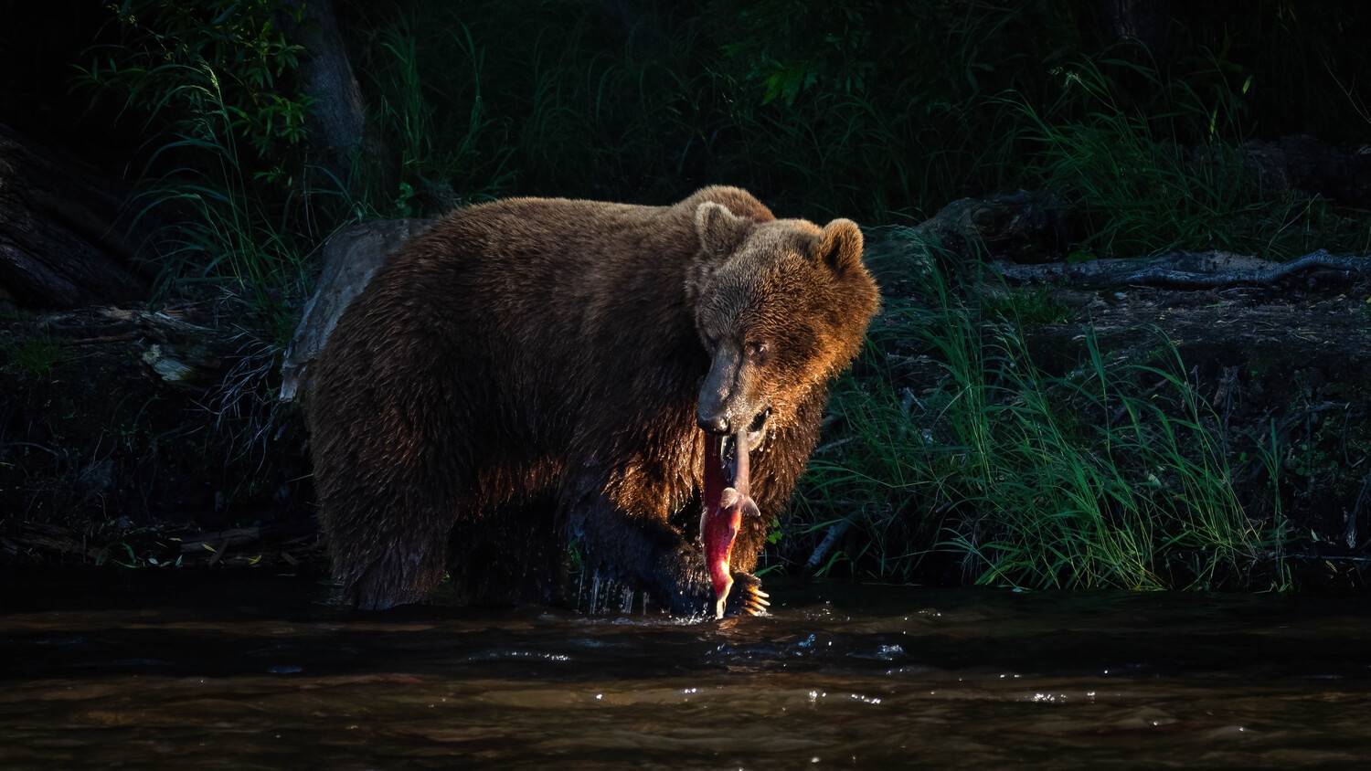 , Николай Мозгунов