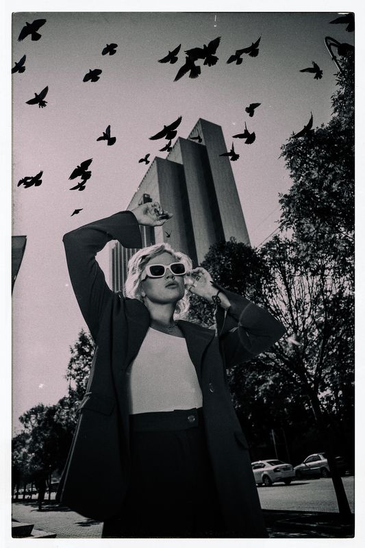 Черные птицы фото превью