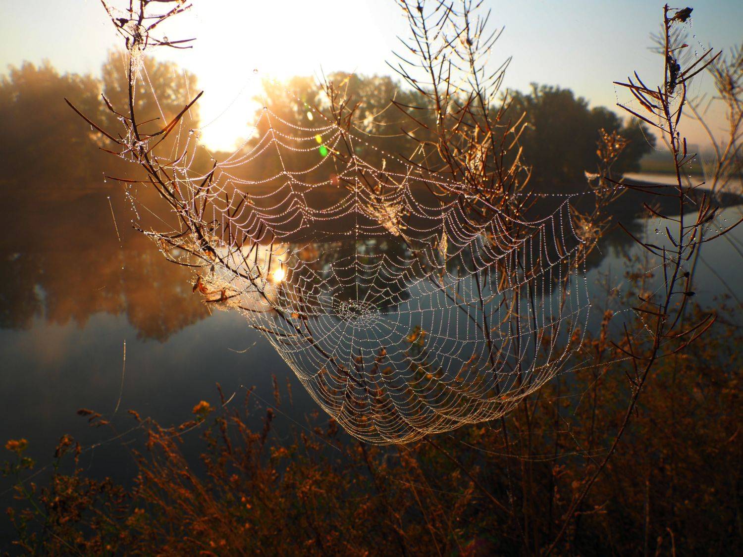 , Андрей Перешеин