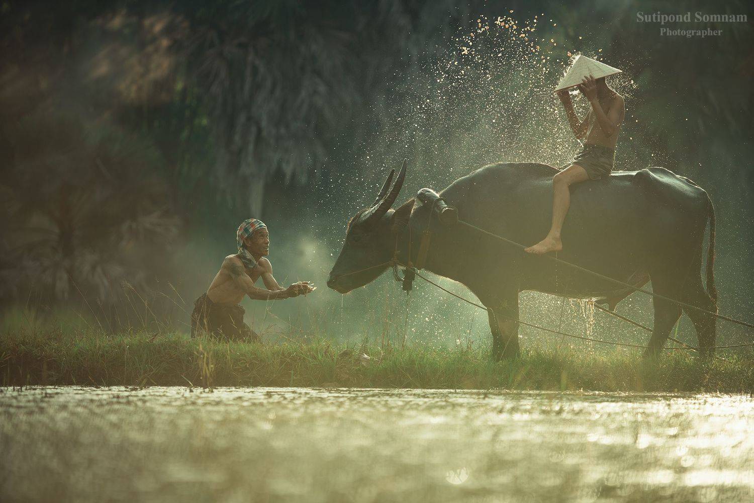 Thai, SUTIPOND SOMNAM