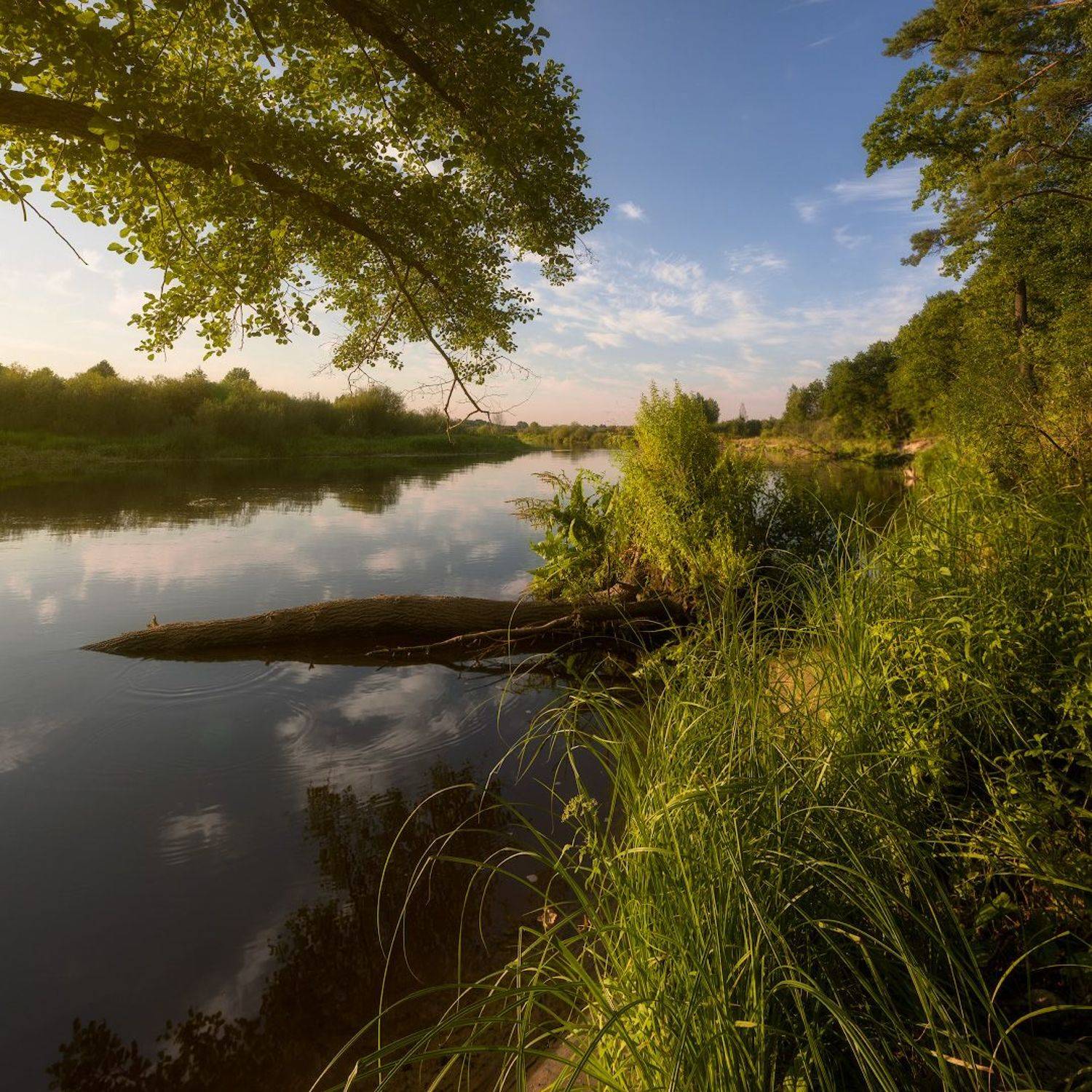 , Михаил Кушнер