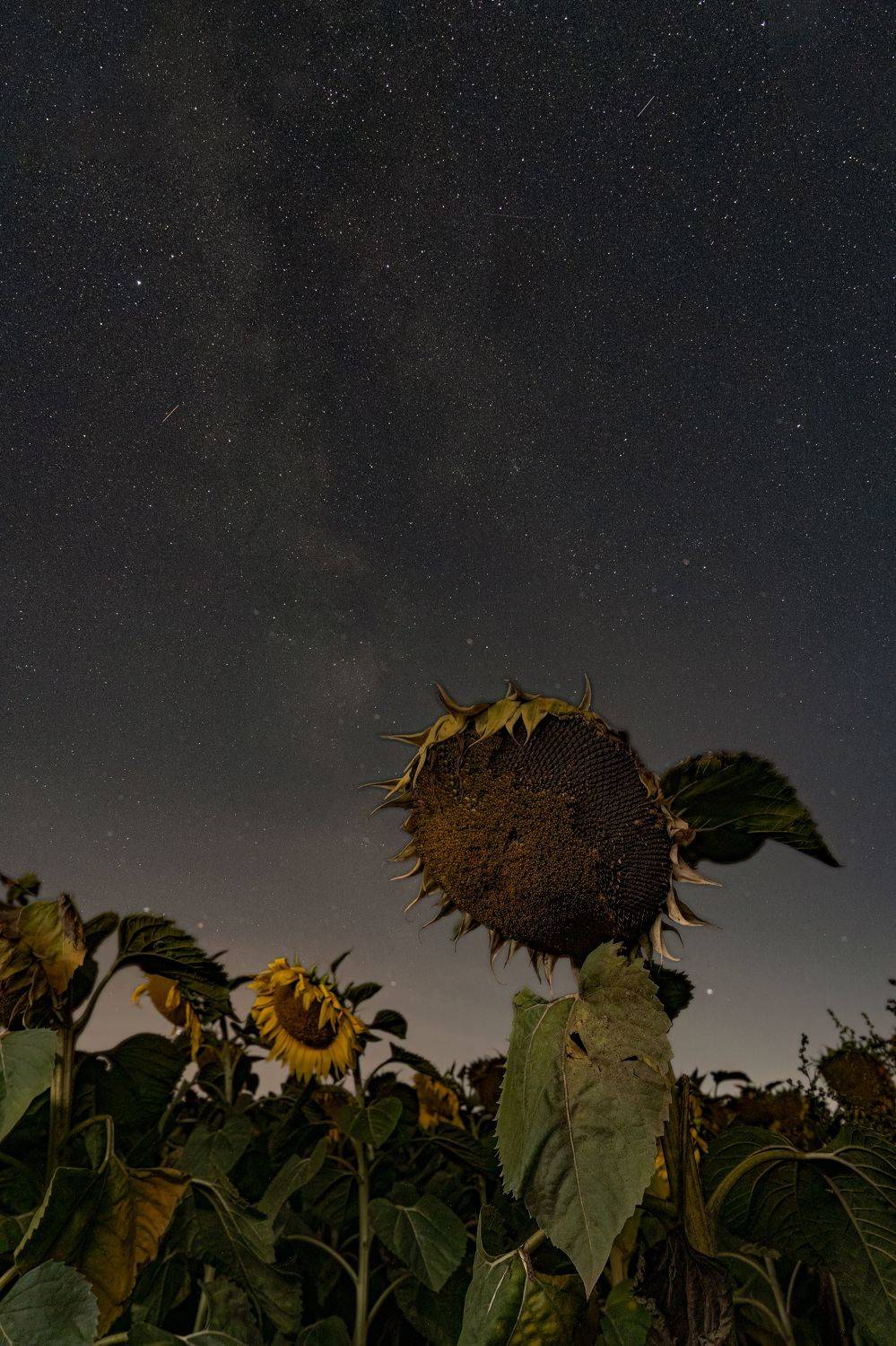 , Нигматуллин Руслан