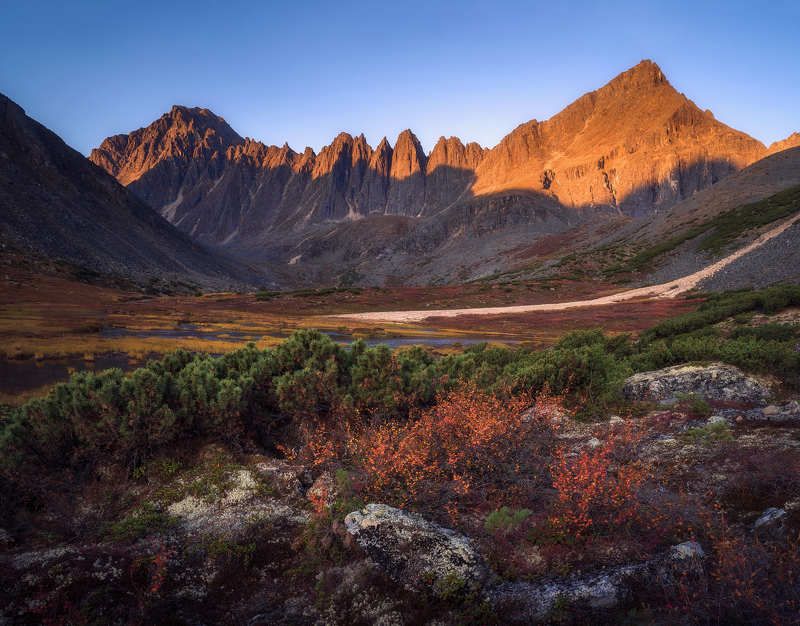 Абориген, Пила и Фестивальный фото превью