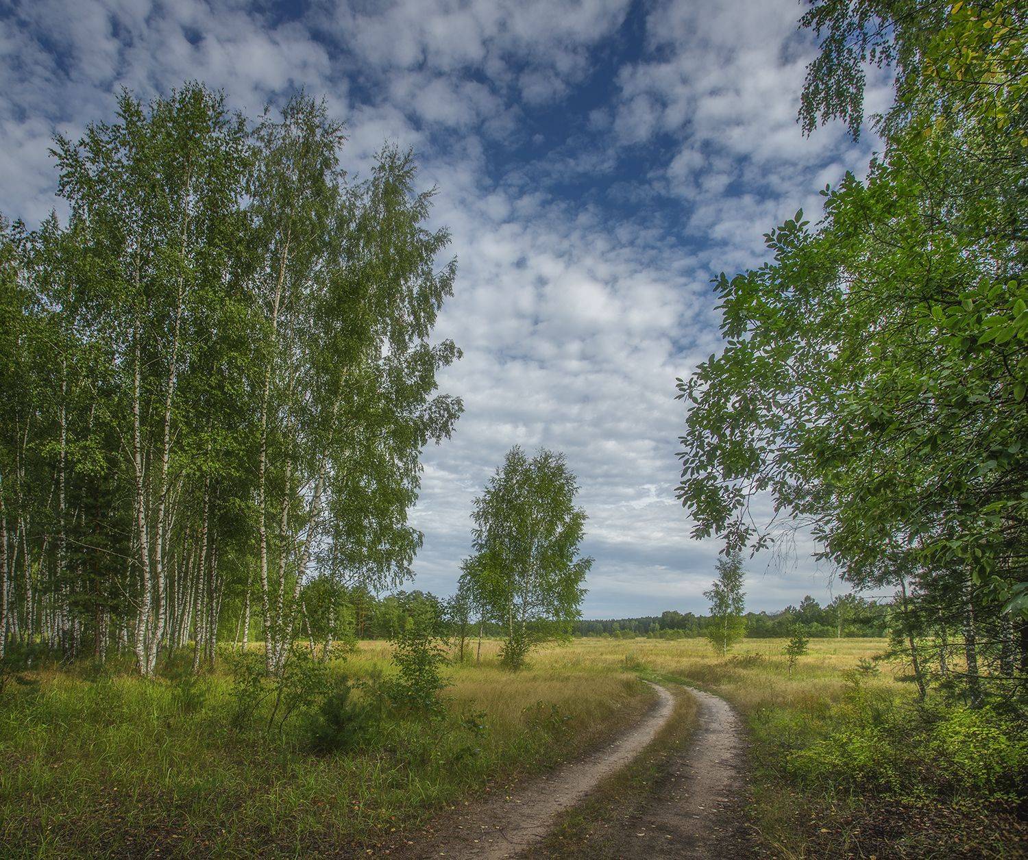 , Николай Андреев
