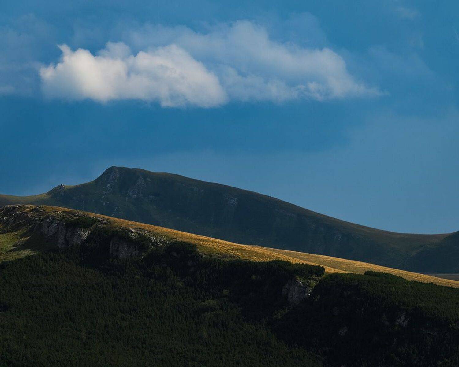 , Stefan Chirobocea
