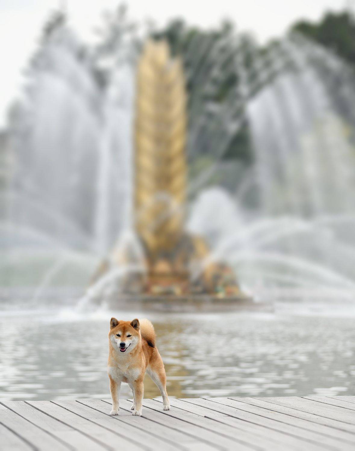 , Коптилина Галина