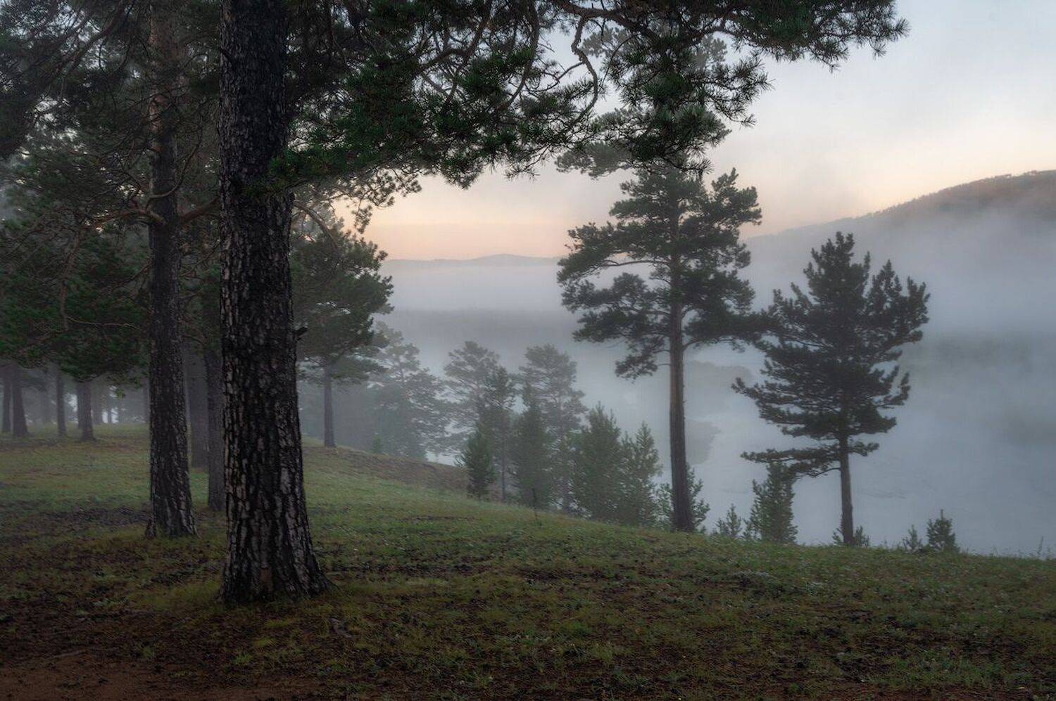 , Сергей Брагин