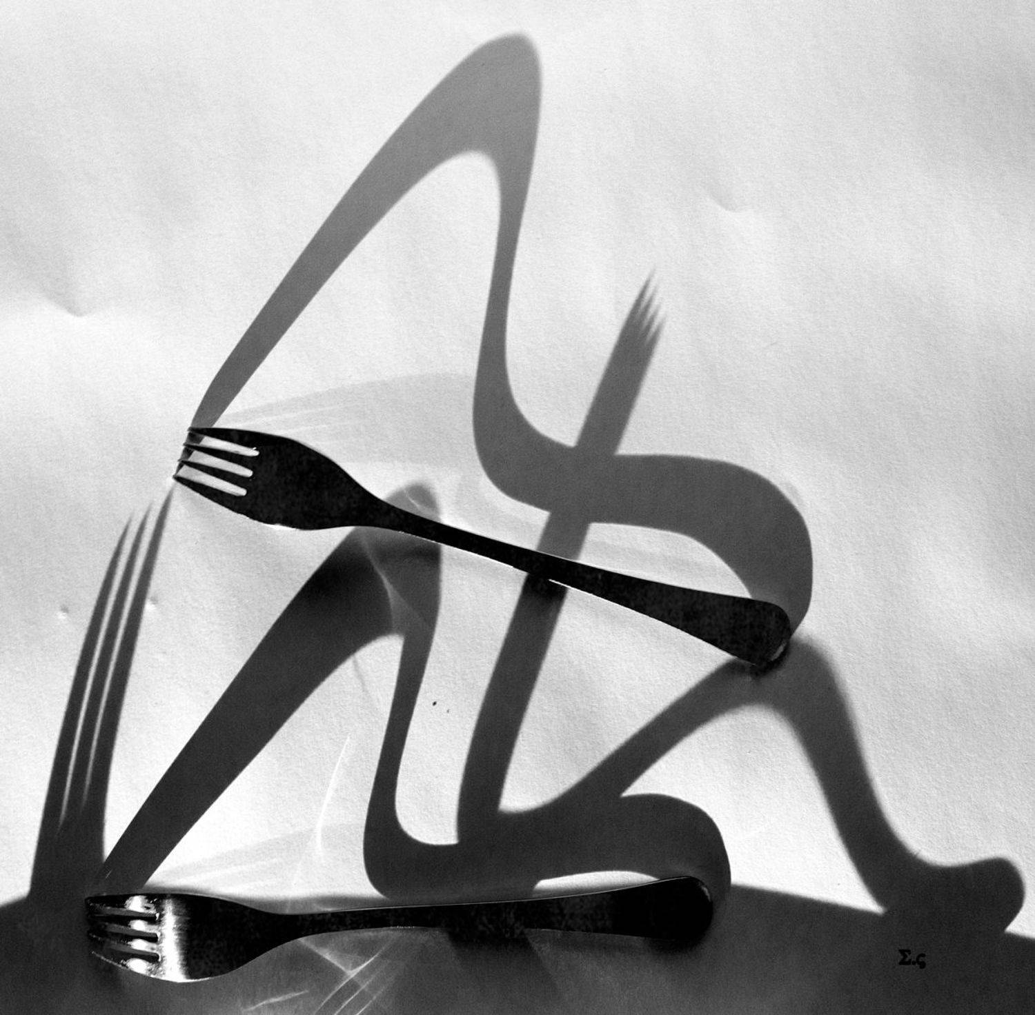 ВИЛКИ ТЕНИ , Sergey Voronin