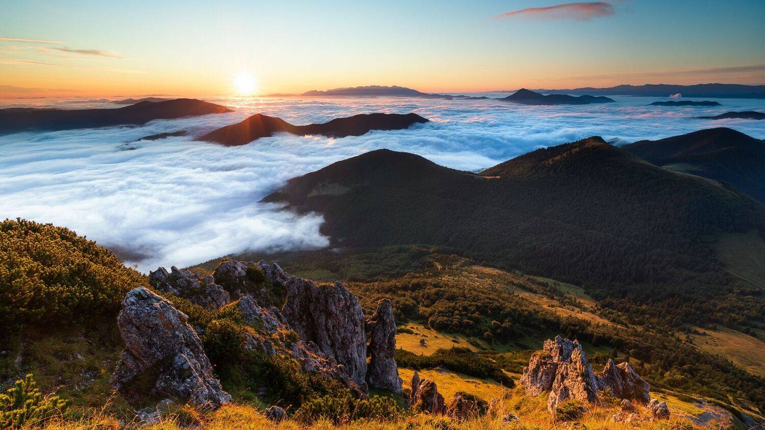 , Konf&aacute;l Miroslav